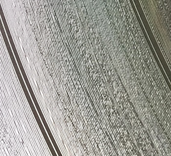 Die Täler, Höhen und Kurven einer Vinylschallplatte sind mehr als nur ein physischer Klangspeicher (Foto: Oliver Zöllner) Die Täler, Höhen und Kurven einer Vinylschallplatte sind mehr als nur ein physischer Klangspeicher (Foto: Oliver Zöllner)