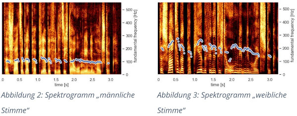 Spektrogramme einer männlichen und einer weiblichen Stimme